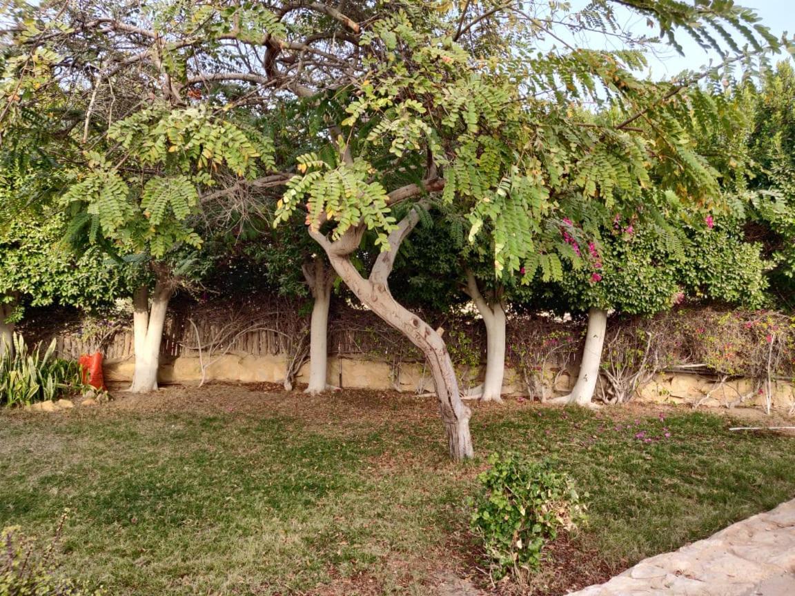 Tunis Lake View ‘Izbat an Nāmūs Eksteriør billede